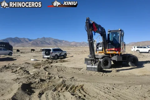 Orrszarvú
